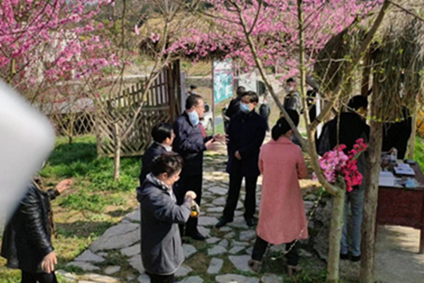 天津援鄂领导与县领导莅临基地视察