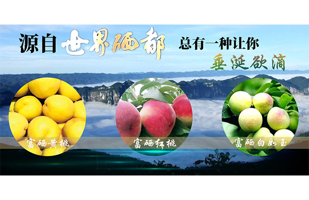 富硒黄桃•红桃