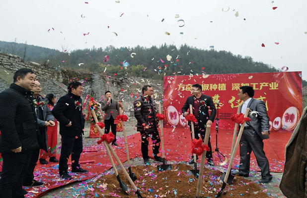 万亩辣椒基地